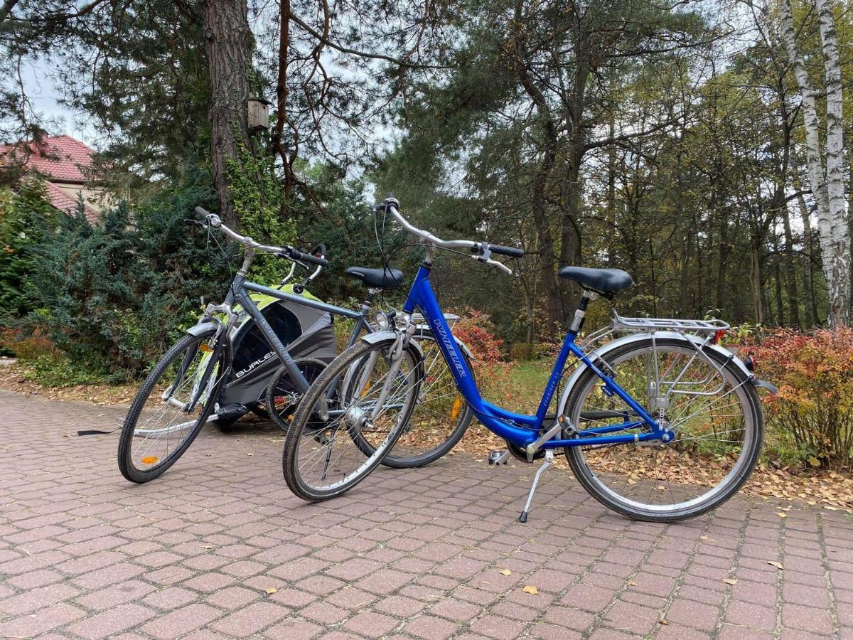 Park Rekreacyjno-Biznesowy Las Woda Wilga Bagian luar foto