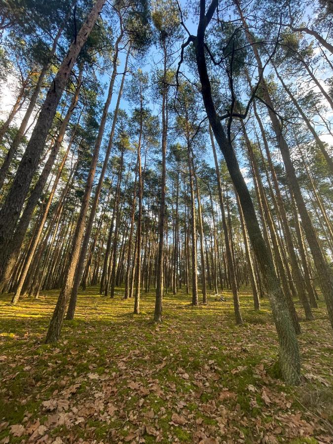 Park Rekreacyjno-Biznesowy Las Woda Wilga Bagian luar foto