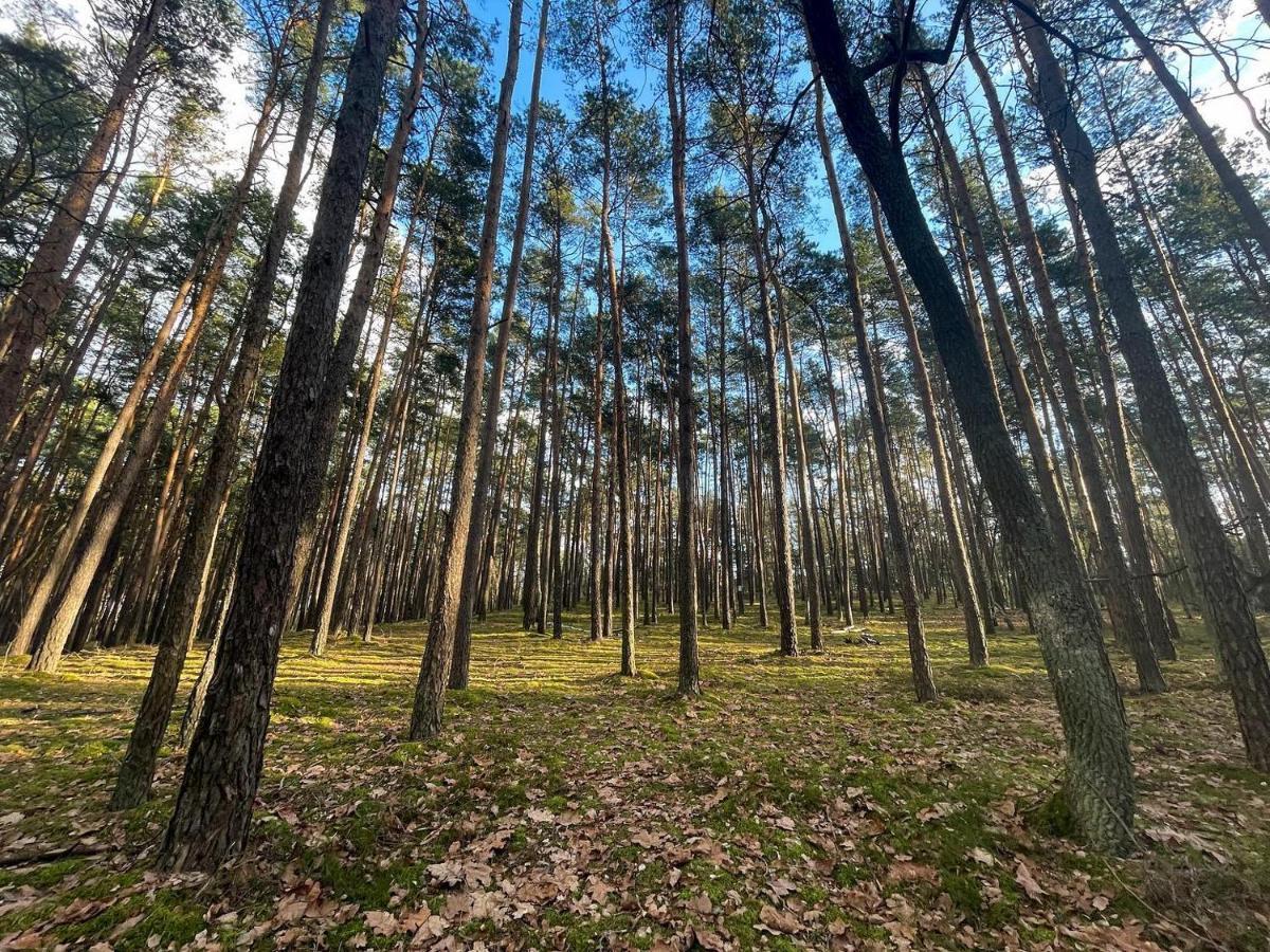 Park Rekreacyjno-Biznesowy Las Woda Wilga Bagian luar foto