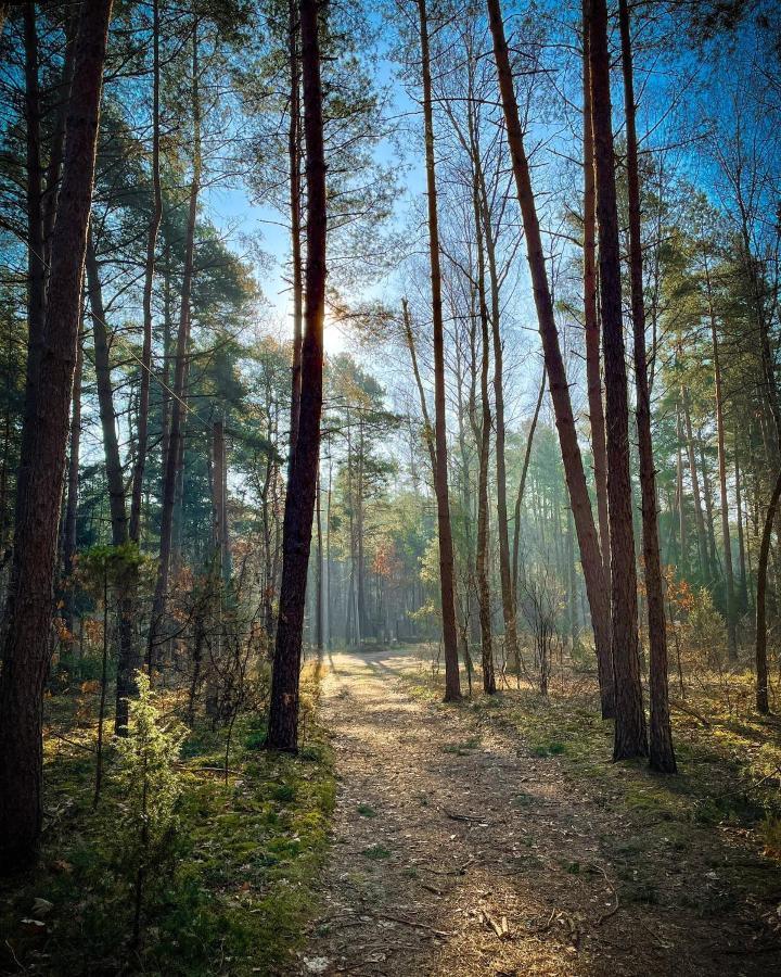 Park Rekreacyjno-Biznesowy Las Woda Wilga Bagian luar foto